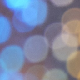 Bokeh-305